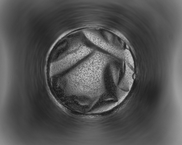X0000086100947200704132144