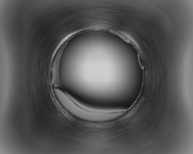 X0000086100948200704132144