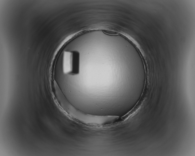 X0000086100949200704132144