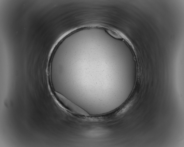 X0000086100951200704132144