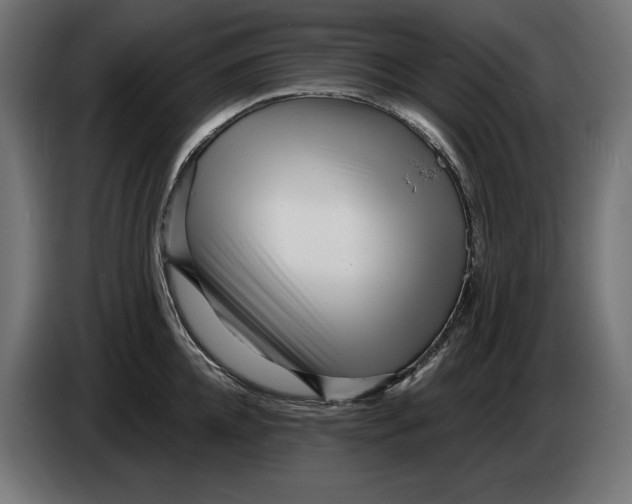 X0000086100952200704132144