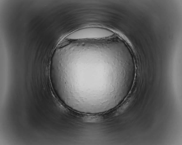 X0000086100953200704132144