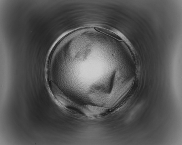 X0000086100955200704132144