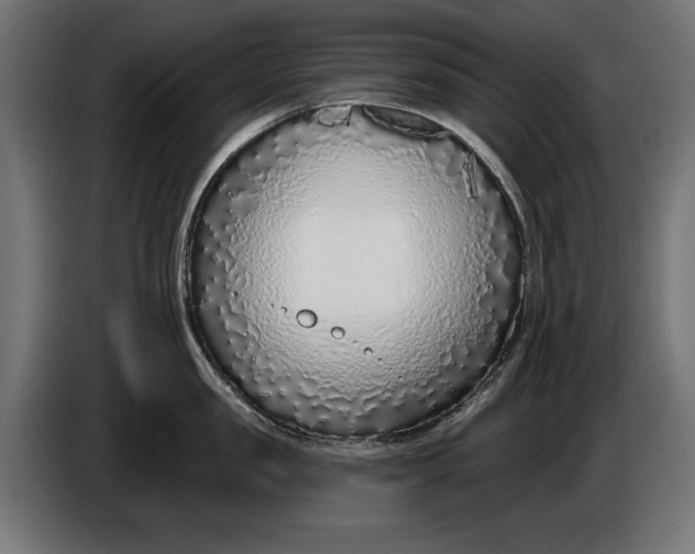 X0000086100957200704132144