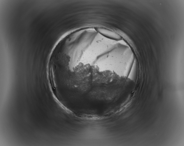 X0000086100958200704132144