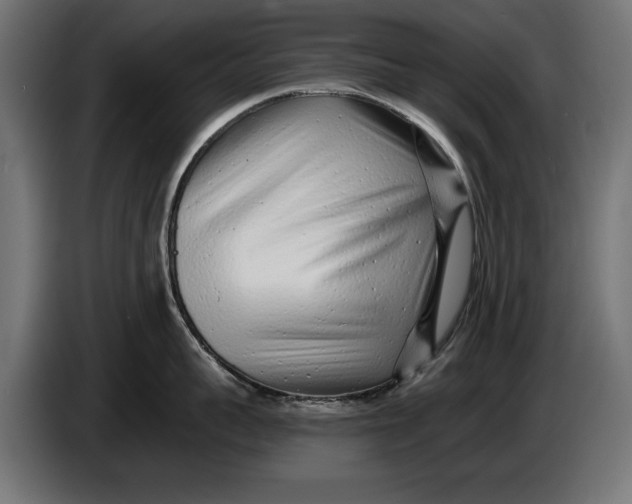 X0000086100959200704132144