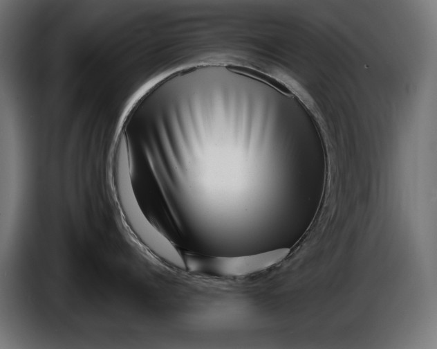 X0000086100960200704132144