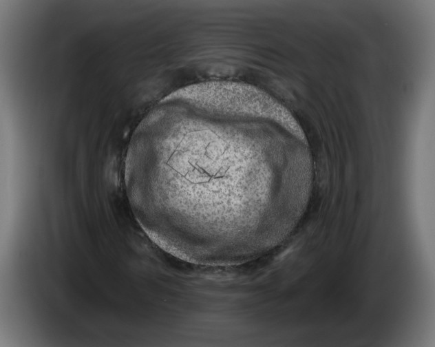 X0000086100962200704132144