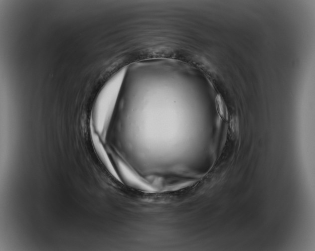 X0000086100963200704132144
