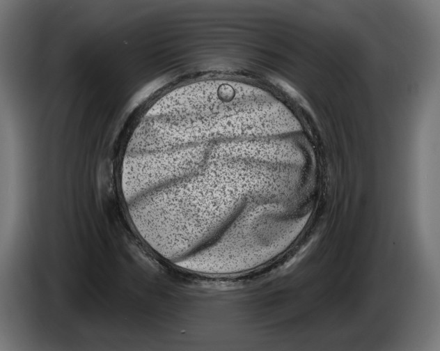 X0000086100970200704132144