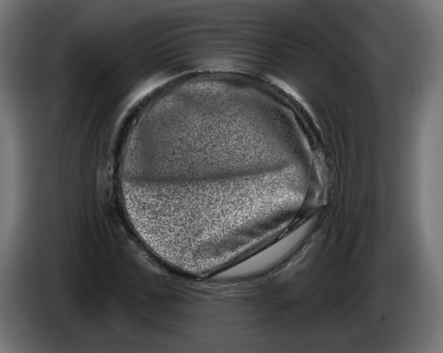 X0000086100971200704132144