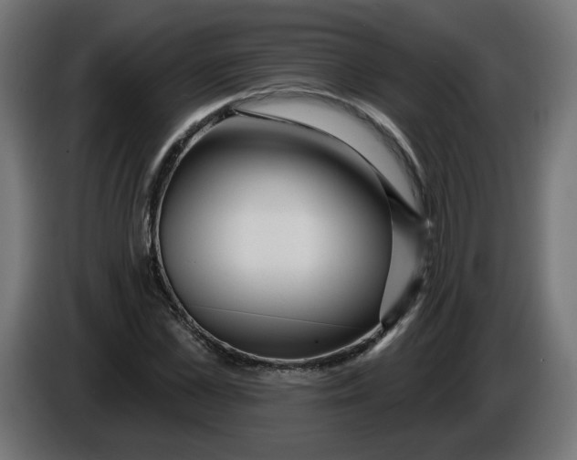 X0000086100973200704132144