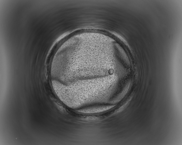 X0000086100974200704132144