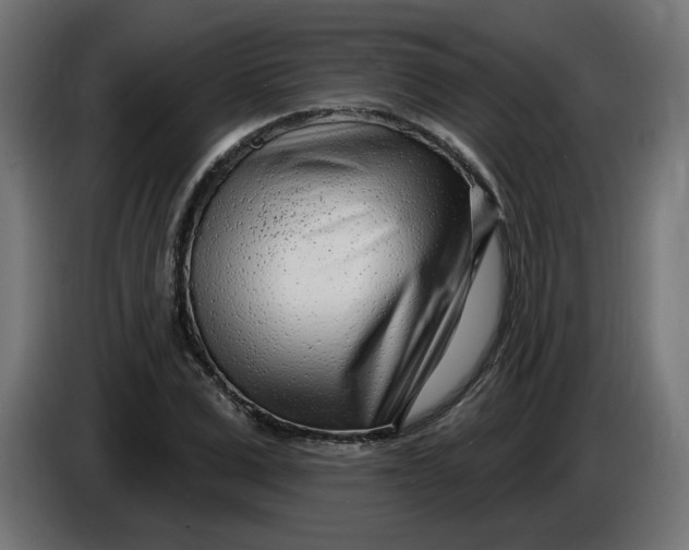 X0000086100975200704132144
