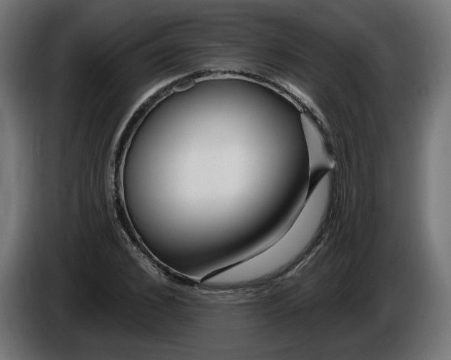 X0000086100976200704132144