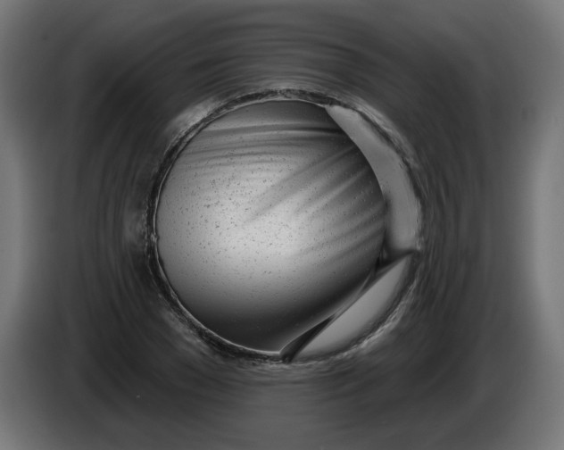 X0000086100977200704132144