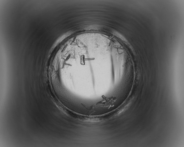 X0000086100978200704132144