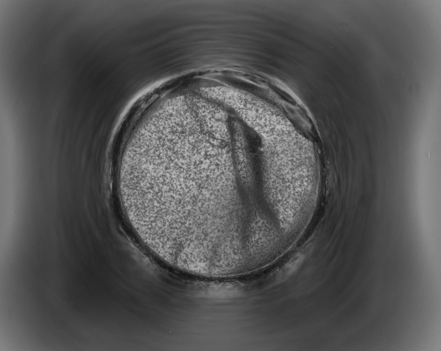 X0000086100979200704132144
