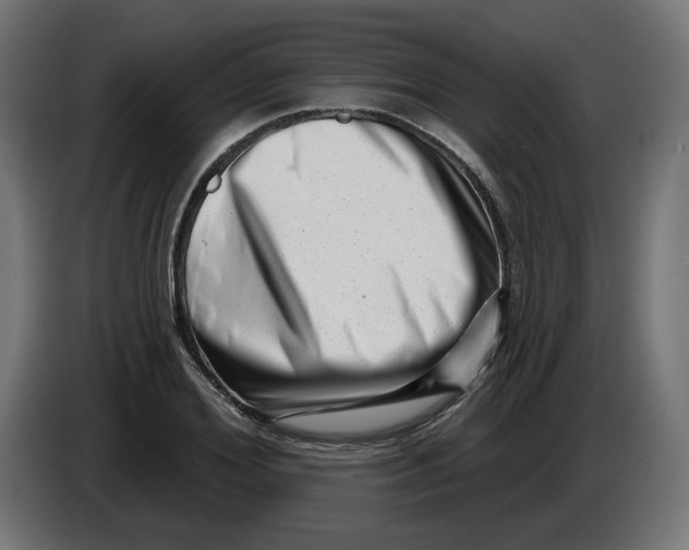 X0000086100980200704132144
