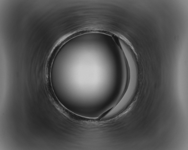 X0000086100981200704132144