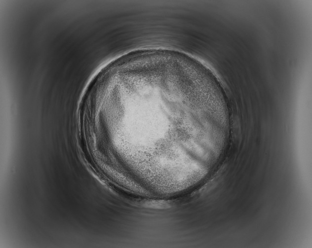 X0000086100982200704132144