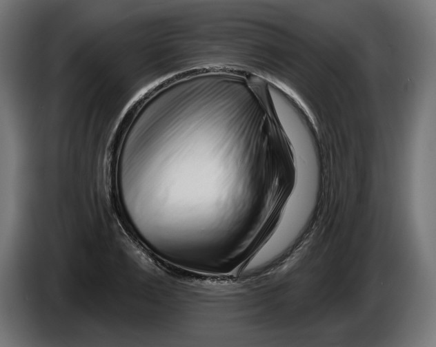 X0000086100983200704132144