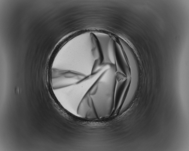 X0000086100984200704132143