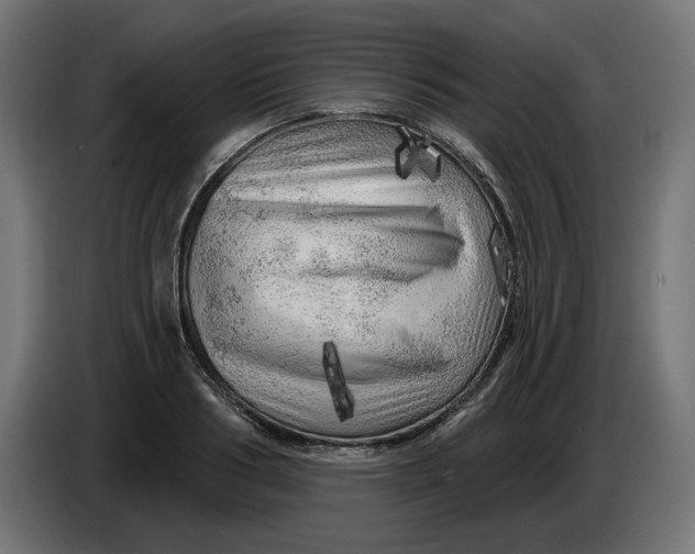 X0000086100986200704132143