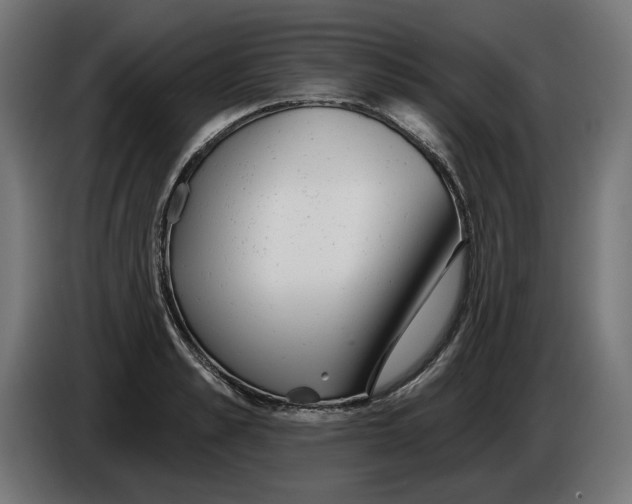X0000086100989200704132143