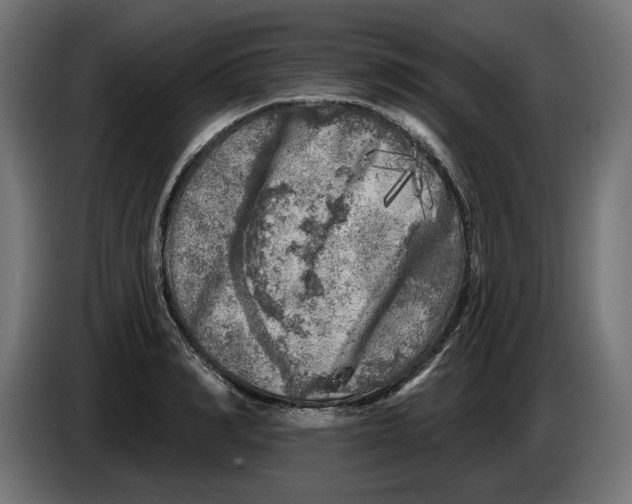 X0000086100990200704132143