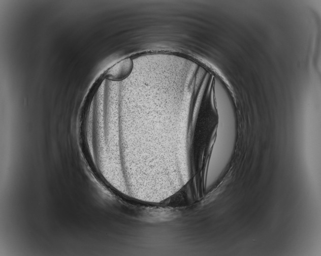 X0000086100991200704132143