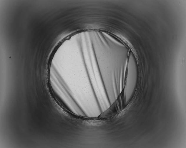X0000086100992200704132143