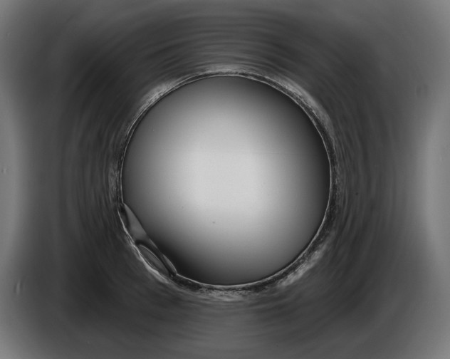 X0000086100993200704132143