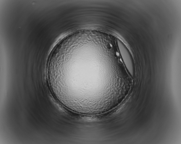 X0000086100994200704132143