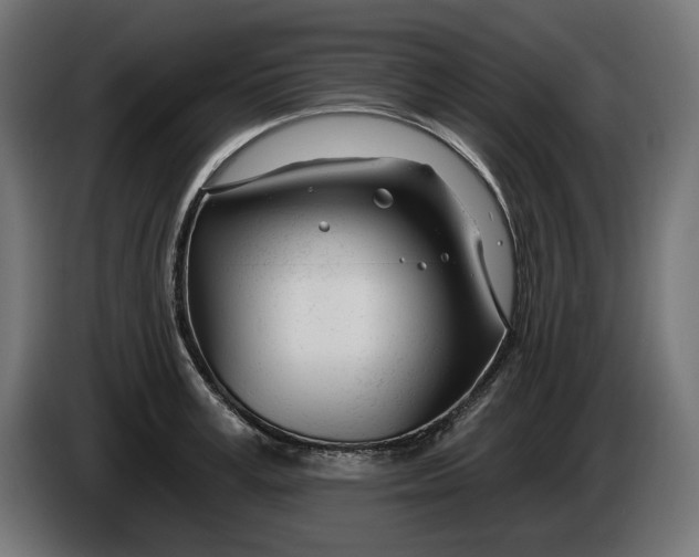 X0000086100995200704132143