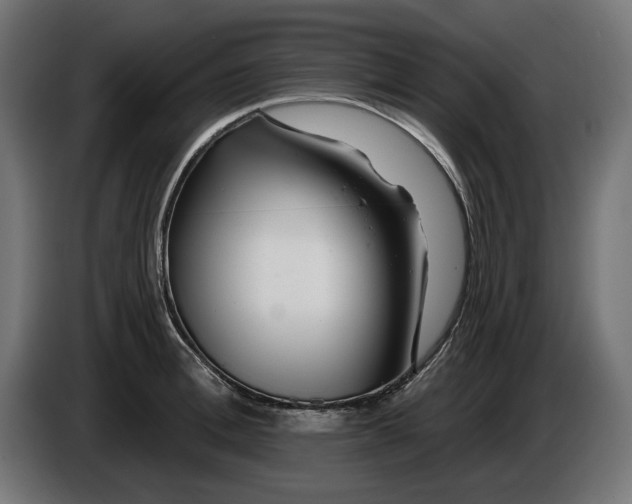 X0000086100996200704132143