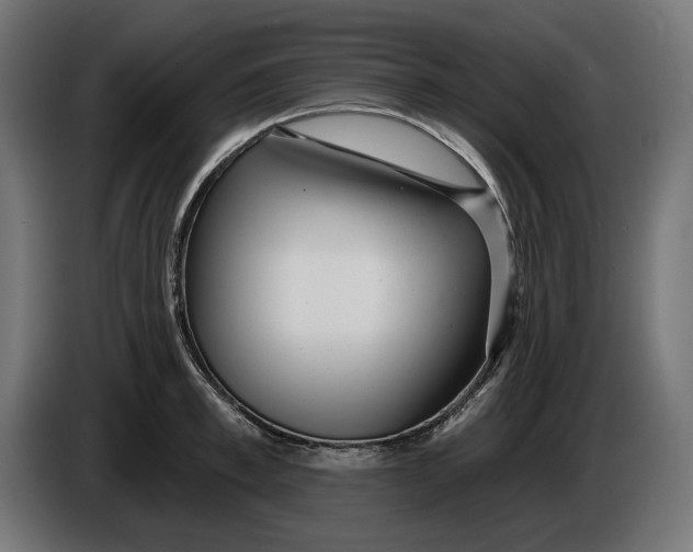 X0000086100997200704132143