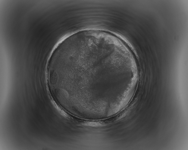 X0000086100998200704132143