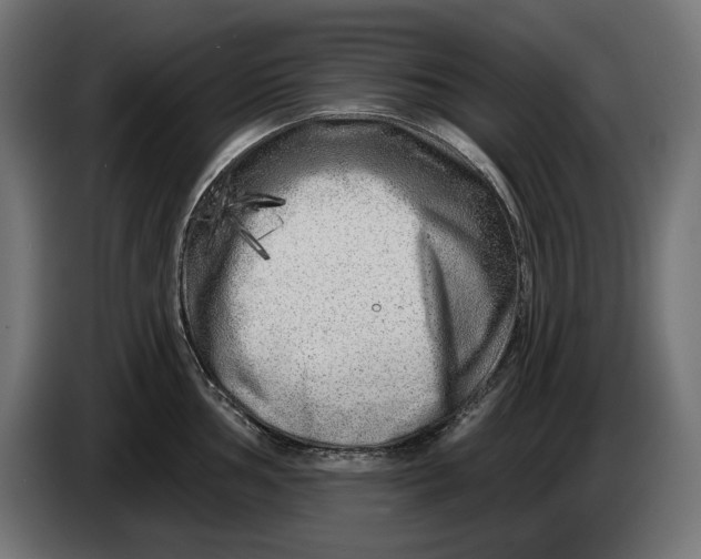 X0000086101002200704132143