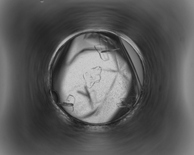 X0000086101004200704132143