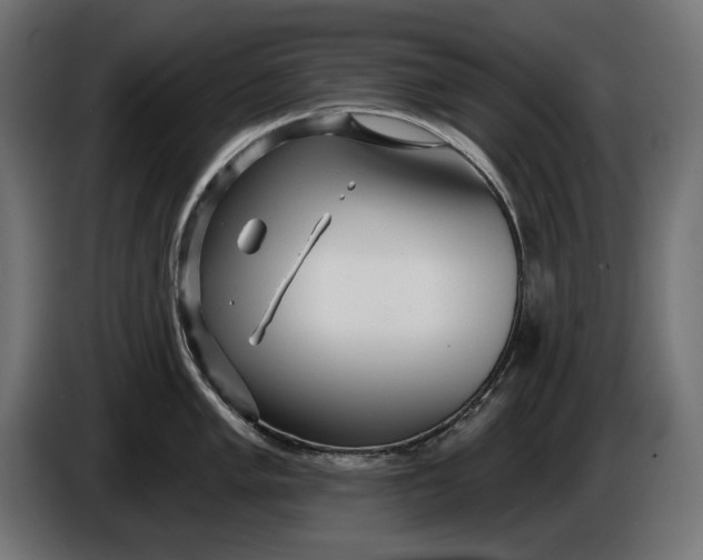 X0000086101005200704132143