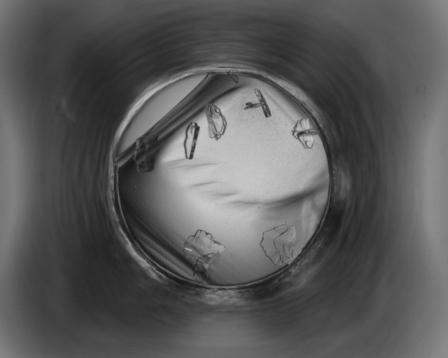 X0000086101006200704132143