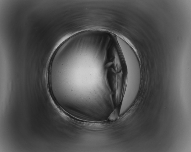 X0000086101007200704132143