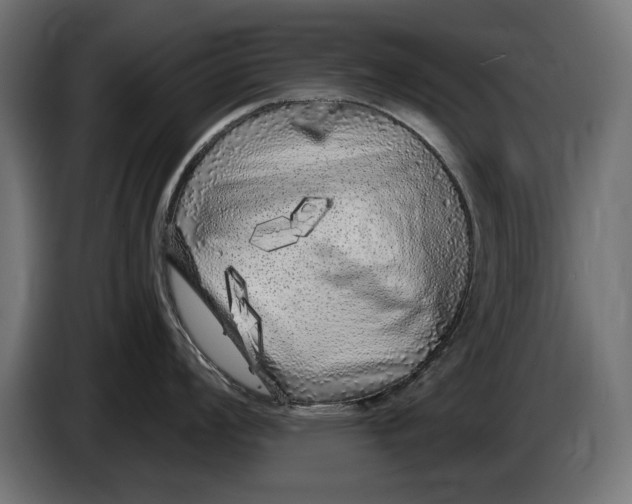 X0000086101008200704132143