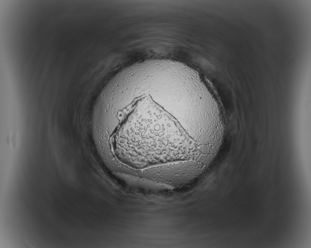X0000086101009200704132142