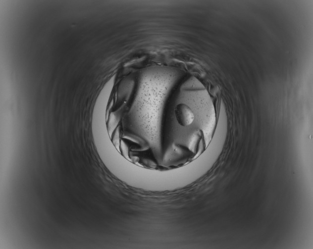 X0000086101010200704132142