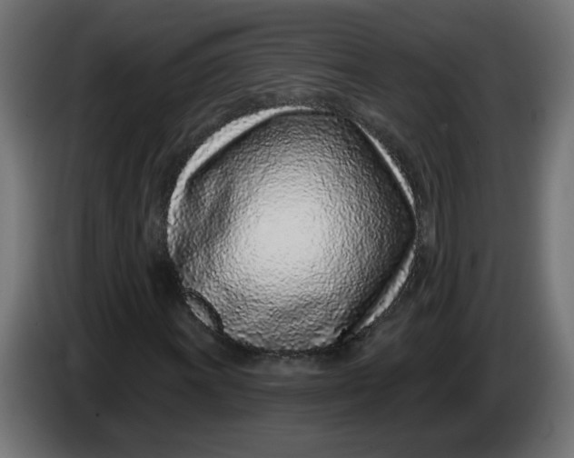 X0000086101011200704132143