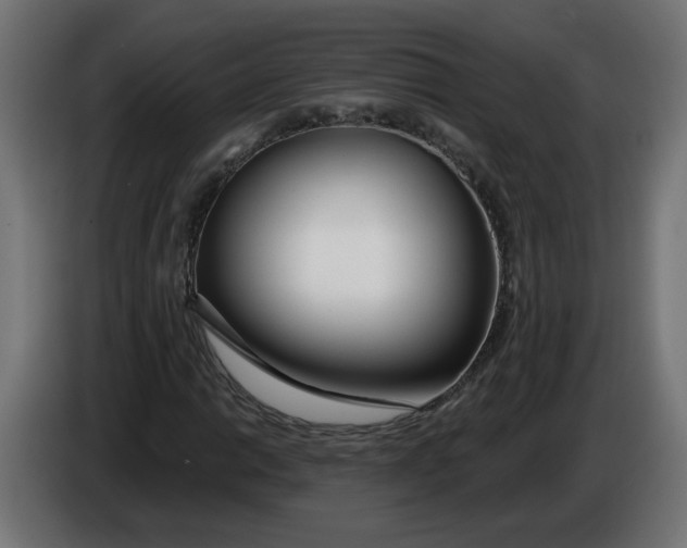 X0000086101014200704132143