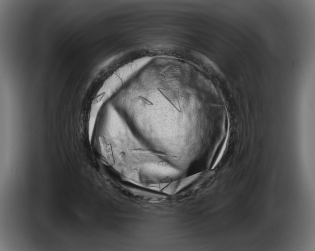 X0000086101016200704132143