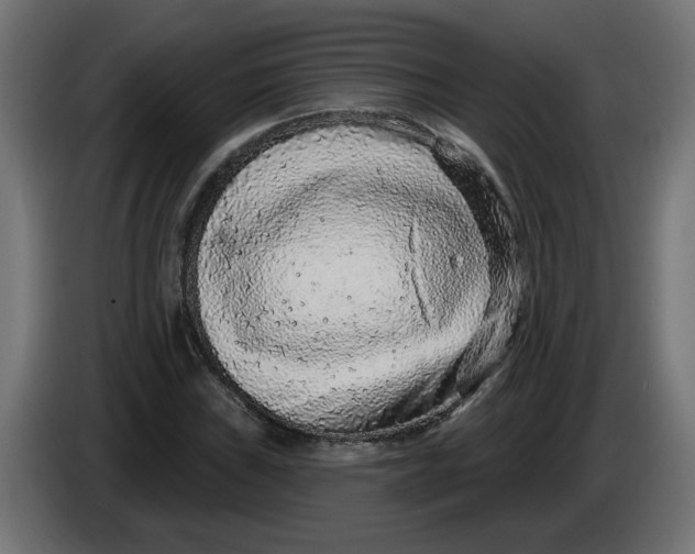 X0000086101019200704132143